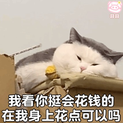 不要害怕告诉你，长期养猫，会有这些“意想不到”的好处