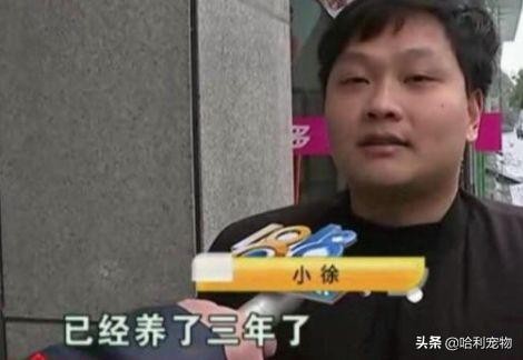 带狗狗去宠物店洗澡，半小时身亡？养狗必须注意这几点