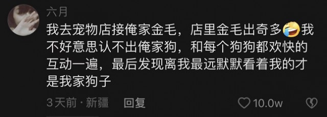 狗子去宠物店洗澡后回家后总是臭着脸